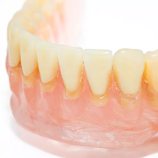 Dondiadent Standard